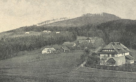 Marie Bayerl-Schwejdaov�