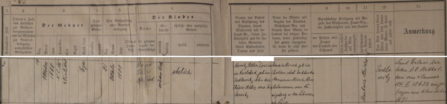 Podle tohoto záznamu karlovarské židovské matriky, zaneseného do ní až v únoru 1891, narodil se v Karlových Varech čp. 105 14. října roku 1888 a byl týden nato i obřezán a dáno mu jméno Bruno - chlapcův otec Moritz Adler, obchodní příručí (zde "Commis") v Karlových Varech, narozený v Pochlovicích (dnes jsou Horní i Dolní Pochlovice jen částí města Kynšperk nad Ohří), byl (nemanželským) synem Rosie Adlerové z Pochlovic, novorozencova matka Teresia, narozená v Chodově (Chodau), byla dcerou Hermanna Hirsche, obchodníka z Kynšperka nad Ohří (Königsberg) a jeho ženy Libusse, roz. Löwové - prázdná zůstala rubrika pro jméno toho, kdo provedl chlapcovo obřezání