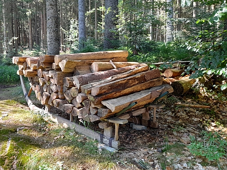 Sáně na svoz dřeva u Schwarzenberského kanálu