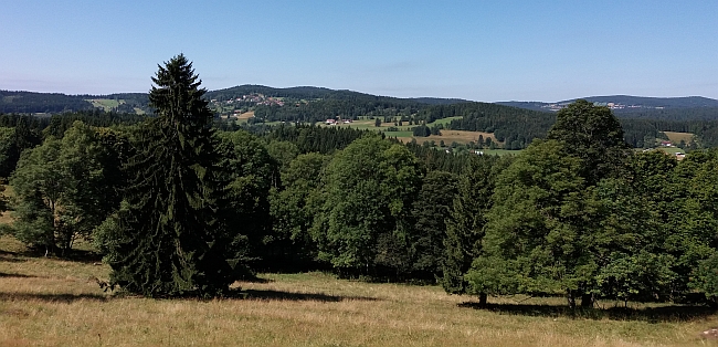 Výhled od rodných míst do Bavorska, zmíněný v závěru vzpomínky Rosy Tahedlové