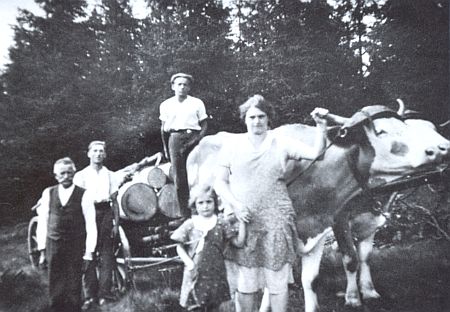 Odleva Josef Frisch, čeledíni Franz a Hans, Traudl Gerardová a její matka s nákladem dřeva a volským potahem, jak je zachytil dobový snímek