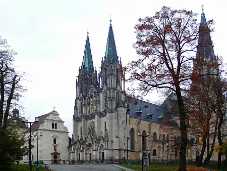 Katedrála sv. Václava v rodné Olomouci