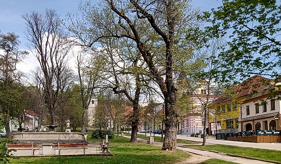 Nevíme, jestli Stifterovo rodiště někdy navštívil, ale určitou symboliku tento pohled na hornoplánské náměstí má: nad kašnou stojí český zemský patron Jan Nepomucký, vedle dub, zasazený roku 1939 u příležitosti Hitlerových padesátin, a dále vpravo ve stejné linii dům, kde bývala mikve zdejší židovské komunity