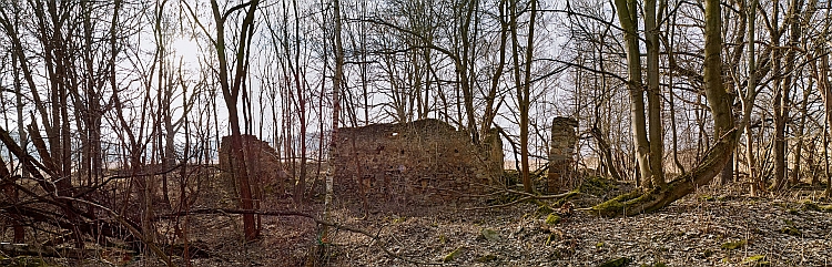 Ruiny stavení v zaniklém Babí (viz i Franz Proyer)