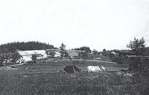 Narodil se ve stavení čp. 7 v "horním" Reiterschlagu, které je na tomto snímku z roku 1936
vidět druhé z leva s bělavou střechou...