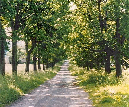 "Ulice" v Pohoří, jako by byla viděna přes slzy