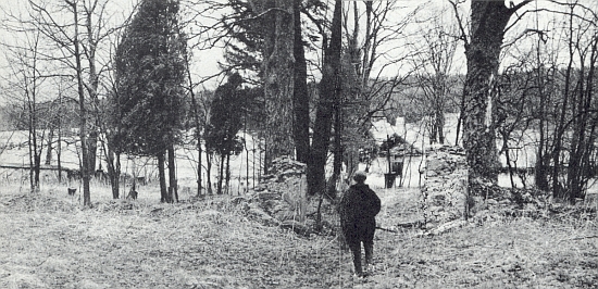 Hřbitov v Pohoří na Šumavě v dubnu roku 1990...