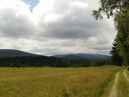 Smrčina od Házlova kříže