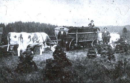 Po zániku sklárny se na Zlaté Studni už jen těžila rašelina, jak dokládá snímek někdy z roku 1940