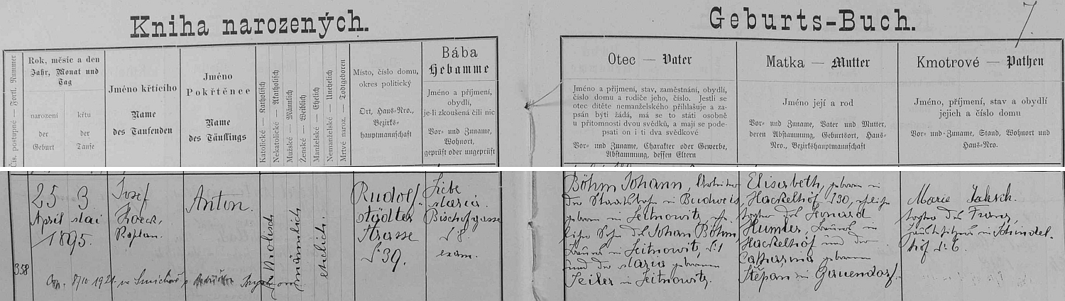 Záznam českobudějovické křestní matriky o jeho narození 25. dubna 1895 v domě čp. 39 na Rudolfovské ulici (v matrice "Rudolfstädter Strasse") a křtu až 3. května téhož roku (křtil ho kaplan Josef Koeck) - novorozencův otec Johann Böhm, syn sedláka v Litvínovicích (Leitnowitz) čp. 1 Johanna Böhma a Marie, roz. Seilerové z Litvínovic, byl podle záznamu železničním dělníkem na státní dráze (Arbeiter der Staatsbahn) v Českých Budějovicích, chlapcova matka Elisabeth byla, jak se dovídáme, dcerou sedláka v Haklových Dvorech (Hackelhöf)čp. 30 Leonarda Humlera a Kathariny, roz. Štěpánové z Mokrého (Gauendorf) - pozdější přípis nás pak zpravuje o svatbě Antona Böhma dne 8. října 1921 na tehdy ještě samostatném pražském Smíchově s Bedřiškou Brychtovou