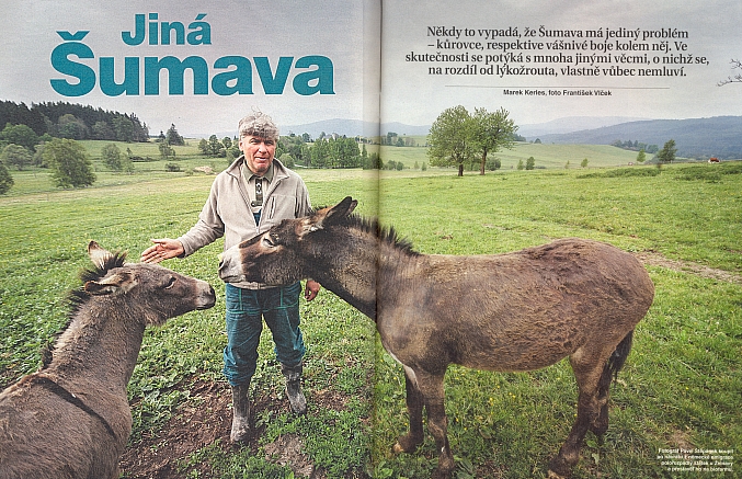 Marek Kerles uvádí svůj zásadní článek v příloze Pátek Lidových novin o problémech českého hospodaření na Šumavě odkazem na Boyerův dopis z roku 1919, plný chmurných předpovědí budoucího vývoje - na snímku je kraj kolem Želnavy