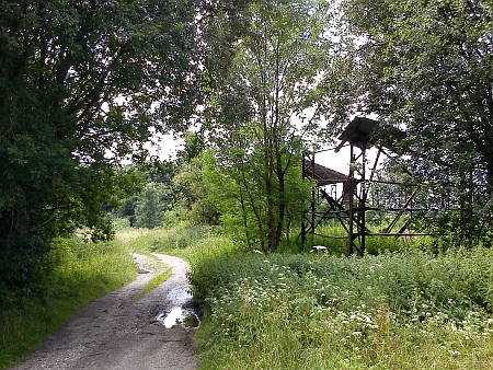 Dnešní pohled na bývalou náves v Rychnůvku