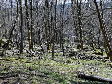 Tady stály domy rodné osady Hinterhäuser, česky Zadní Chalupy