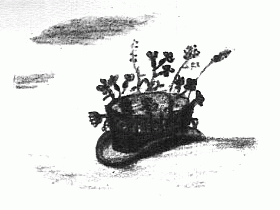 Klobouk Dobrovského se šumavskou květenou na ilustraci Rudy Švába