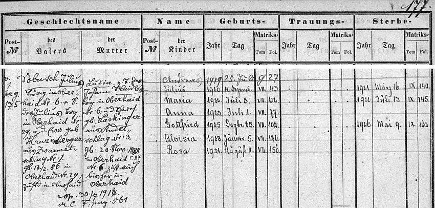 Podle "rodového registru" farní obce Horní Dvořiště narodil se tu v červenci roku 1919 jako prvorozený syn Julia Dobusche (i jeho otec Julius byl zdejší, matka Ewa, roz. Hauzenbergerová, pocházela ze Svatomírova /Zwarmetschlag/, dnes zcela zaniklého) a jeho ženy Lucie, dceři Johanna Haidlera, z Horního Dvořiště a Theresie, roz. Lackingerové, ze zcela dnes rovněž zaniklého Lipoltova (Rudetschlag) 