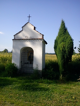 Olšina na snímcích z roku 2013