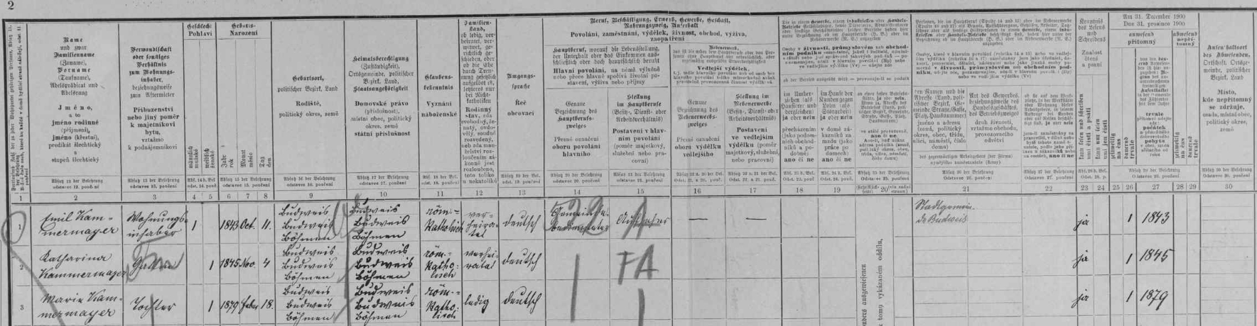 Arch sčítání lidu z roku 1900 pro byt č. 1 v domě čp. 10 v českobudějovické Biskupské ulici s rodinou Kammermayerovou