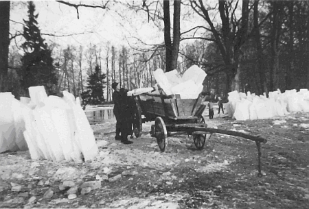 Rybník v bystřickém zámeckém parku, u kterého se někdy v roce 1937
nakládají na vůz ledové kry pro pivní sklep