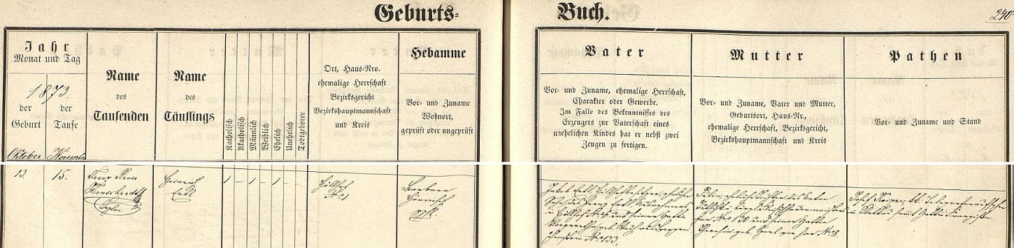 Podle tohoto záznamu kašperskohorské křestní matriky se Heinrich Ertl starší narodil dne 13. listopadu roku 1873 na statku Höllhof čp. 1 a dva dny nato byl v kostele sv. Markéty v Kašperských Horách i pokřtěn zdejším kaplanem Franzem Xaverem Hirnschradtem - chlapcův otec a hospodář na jeho rodném statku Jakob Ertl byl synem výminkáře v Höllhofu čp. 6 Franze Ertla a Margarethy, roz. Stachové z Kašperských Hor čp. 133, matka dítěte Julia byla dcerou kašperskohorského řezníka Antona Tutschku z čp. 130 a Theresie, roz. Sperlové rovněž z Kašperských Hor čp. 8 - kmotry byli Josef Koizar, c.k. telegrafní dozorce v Klatovech, a jeho žena Franziska