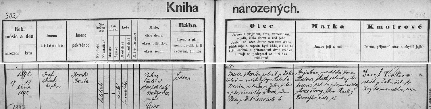 Záznam ledenické křestní matriky o narození a křtu její matky jménem Rozalie Bušta (tak aspoň v ledenickém kostele sv. Vavřince pokřtěnou zapsal tehdejší místní kaplan Josef Marek), která spatřila bez zásahu porodní báby světlo světa ve statku čp. 3 v Zalinách, kde hospodařil její otec, rolník Martin Bušta (v matrice příjmení psáno Busta asi proto, že "st" se "po německu" vyslovovalo tak jako tak "št", Bušta je ovšem příjmení českého původu, pocházející nejspíš z křestního jména Budivoj či křestních jmen podobných), stejně jako předtím Rozaliin děd Jakub se svou ženou Marií, roz. Bícovou z Bavorovic (v matrice psáno "Baborovic") čp. 1, jehož manželka a Rozaliina matka Magdalena (v matrice psáno "Majdalena") byla dcerou tamního hospodáře Martina Nídla a Marie Anny, roz. Paule "z Dasnýho" (tak psáno v matrice) čp. 12