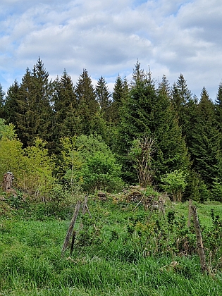 Tady stával dědečkův rodný Růžový Vrch (rozcestí u Korandy)