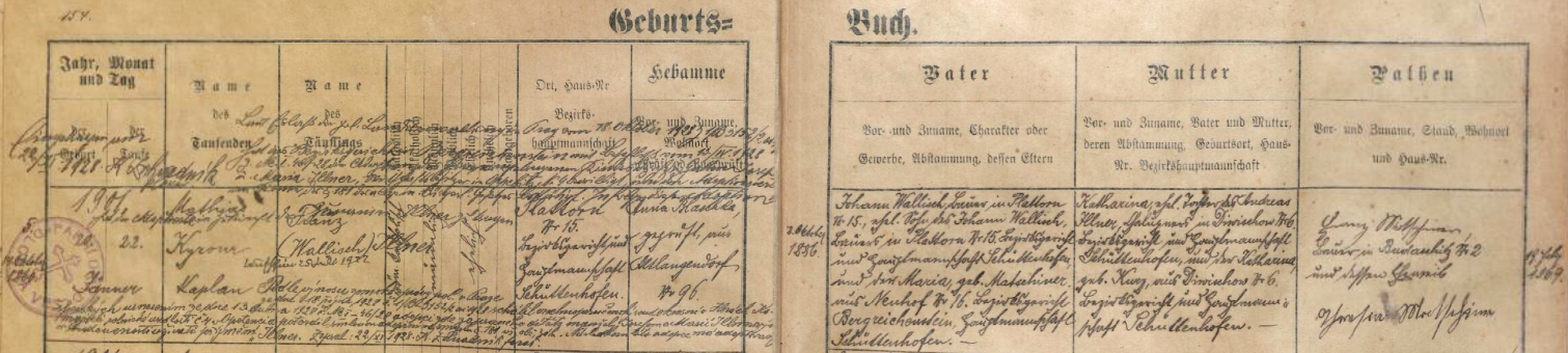 Obsáhlý záznam křestní matriky farní obce Dlouhá Ves z 22. ledna roku 1901 o zdejším narození Franze Wallische, jejího otce, adoptovaného v roce 1928 manželi Josefem a Marií Illnerovými z Opolence čp. 4, následkem čehož bude užívat příjmení Illner