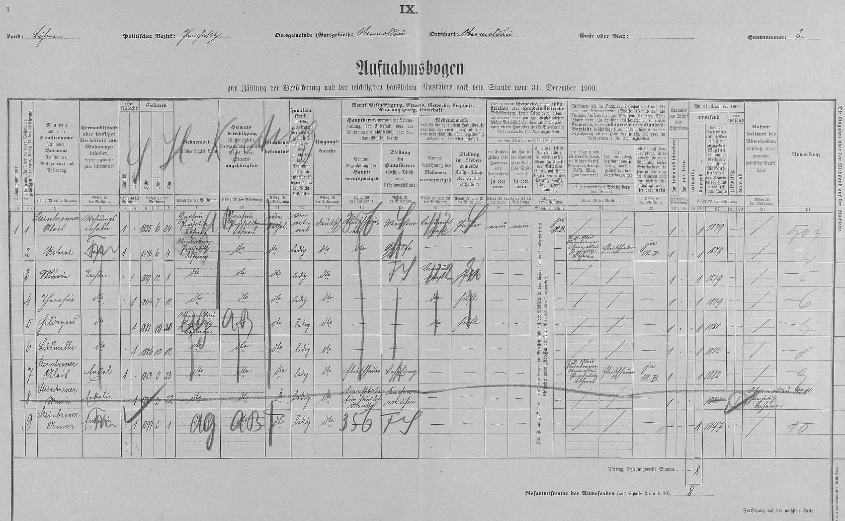 Arch sčítání lidu z roku 1900 pro stavení čp. 8 v Horní Vltavici s rodinou Steinbrenerovou (psáni s jedním "n", jen otec Alois (*1835) se dvěma)...