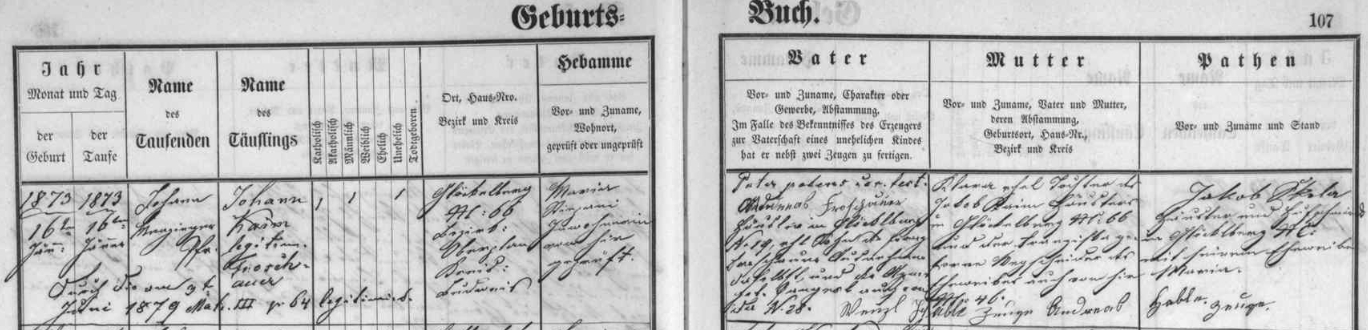 Jeho otec Johann se narodil 16. ledna 1873 v Zadní Zvonkové čp. 66 jako nemanželské dítě Klary Kaimové a "legitimizován" byl až jejím sňatkem s Andreasem Froschauerem v červnu 1879, kdy se z Johanna Kaima stal Johann Froschauer