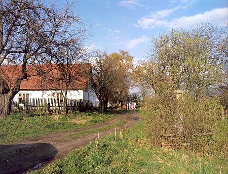 Hartunkovská boží muka skrytá téměř zcela v šeříkovém keři,
na snímku z roku 1997 (viz i Franz Pöschko)