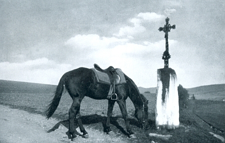 Na tomto snímku z nacistické propagační publikace se pase kůň wehrmachtu v říjnu roku 1938 u osamělého kříže poblíž "Milau" nedaleko Kašperských Hor