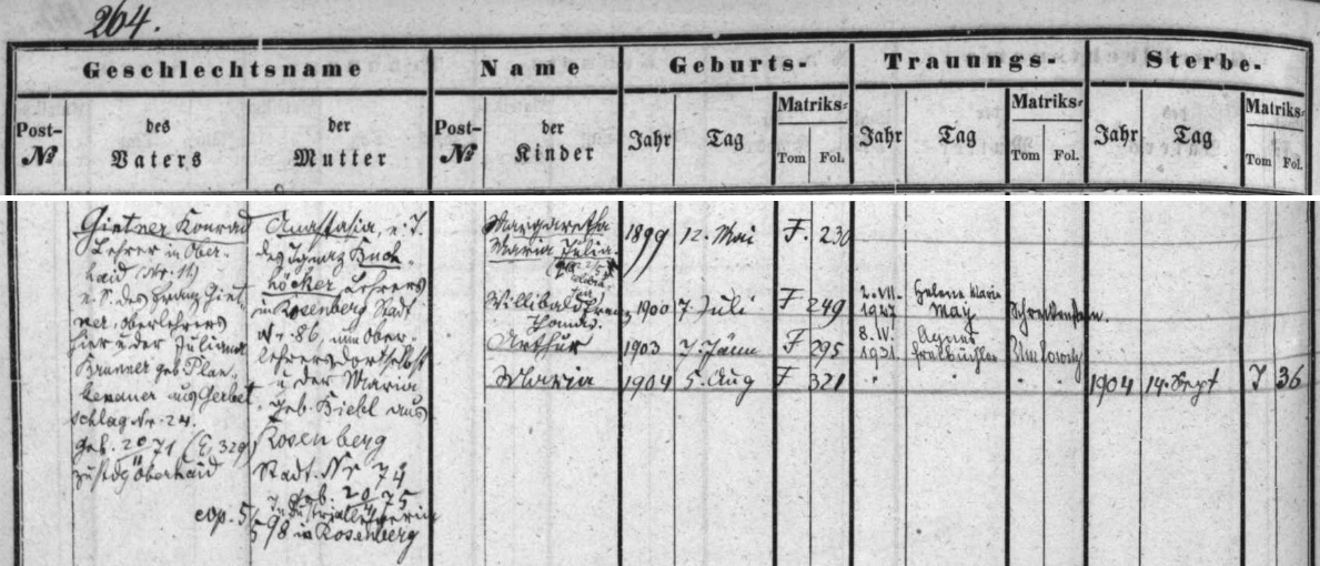 Záznam o jeho rodině v matrice farní obce Horní Dvořiště, u synů Willibalda a Arthura i s daty jejich svateb a dívčími jmény nevěst