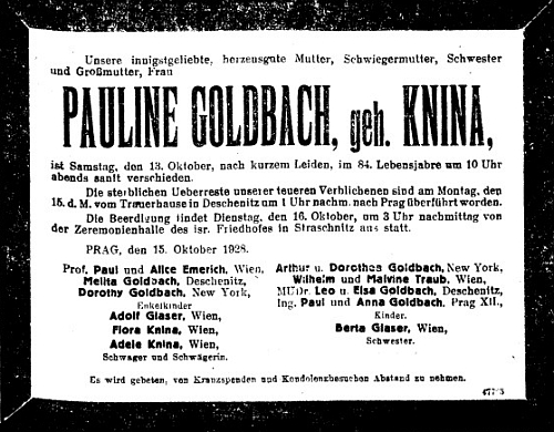 U babiččina parte, kde je uvedena hned na druhém místě, figurují vedle dešenické rodiny v roce 1928 už i američtí a ovšem také rakouští příbuzní