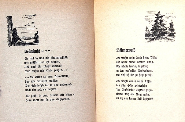 Antikvární nabídka jedné z jejích knih (1949, Verlag "Die Blaue Blume", Bad Wildungen) s věnováním