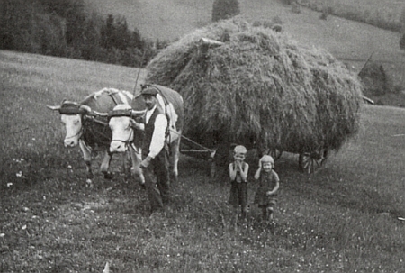 Svážení sena z louky pod rodným domem zvaným Bartlhof v roce 1947, vedle otce, vedoucího volky, stojí opět ona a Walter - na snímku je dobře patrno, jak podstatnou roli měla dlouhá kláda, zvaná "pavuza" (německy "Wischbaum"), pro udržení fůry sena na voze