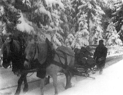 Jeho snímky ze zimního svážení dřeva v šumavských lesích daroval redakci krajanského šumavského kalendáře Ingomar Heidler