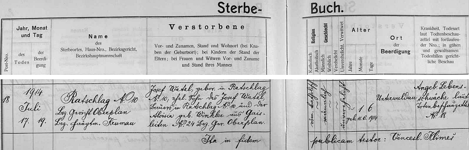 Záznam z dolnovltavické "Knihy zemřelých" o úmrtí jejího měsíčního bratříčka Josefa v létě 1914 otci Josefu Watzlovi
a mamince Aloisii roz. Winklerové z Kozí Stráně čp. 24