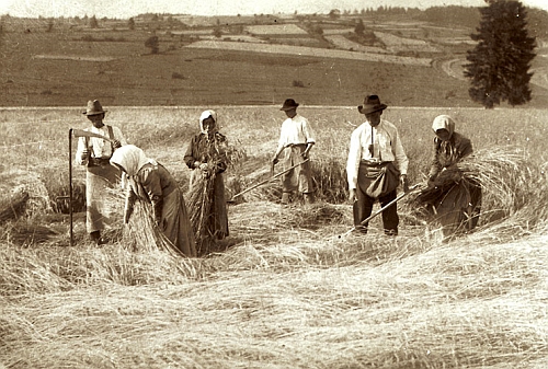 V zaniklé Zvonkové vzniklo v jediném zbylém domě kostelníkově zejména jeho zásluhou malé muzeum i s památkami na někdejší obyvatele - většina historických snímků je tu reprodukována právě jím (viz i Johannes Urzidil)