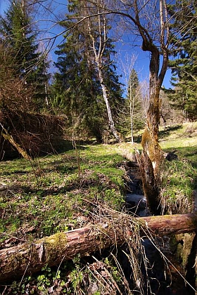 Pěkný potok (Wunderbach) hned vedle někdejšího Harantů mlýna