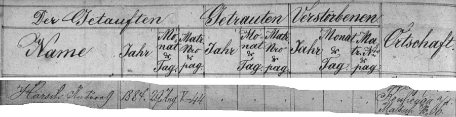 Záznam v indexu matriky farní obce Rychnov nad Malší stvrzuje jeho narození 29. srpna roku 1884 ve zdejším čp. 66
