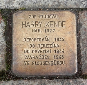 Je mu věnován "kámen zmizelých" u gymnázia v České ulici, kde studoval