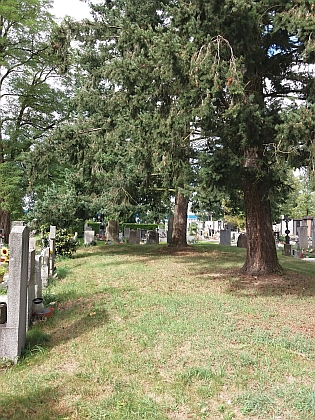 Společný hrob č. 10 na českobudějovickém hřbitově u sv. Otýlie se stal po zrušení původních hrobů místem posledního odpočinku otce i syna Hawelkových