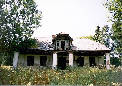 Polorozpadlý dům v Pustině nad Dobrou Vodou u Hartmanic