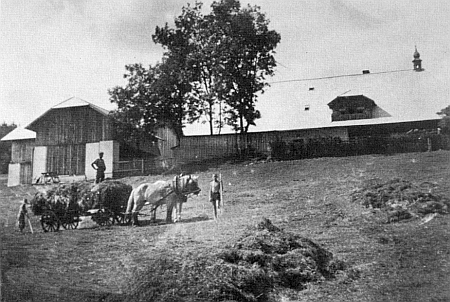 Sklizeň sena při "Velkém Babylonu" na snímcích, které daroval redakci krajanského šumavského kalendáře