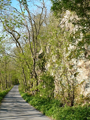 Památný nápis ve skále při cestě do Staré obory u Hluboké nad Vltavou, udržovaný po léta Františkem Horníkem, který je i autorem snímků