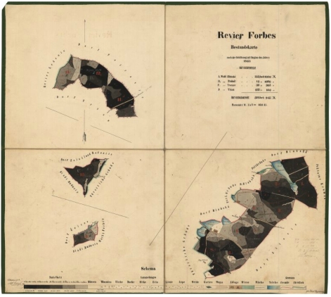 Porostní mapa revíru Forbes (Borovany), kterou zakreslil v roce 1865
(klikněte na náhled pro digitalizovanou mapu)