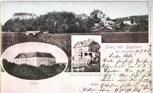 Pohlednice "z Kopce" u Prostiboře zachycuje i tamní vilu lékaře a lidumila Dr. Leopolda Wölflera (1818-1889), jehož syn Anton Wölfler (1850-1917) se stal profesorem chirurgie v Praze a dvorním radou ((viz k němu Wikipedia) - náhrobek Wölflerů na židovském hřbitově u blízkých Telic (Dollitschen) nese nápis Limen vitae sed non amoris (tj. Hranice života, nikoli však lásky)