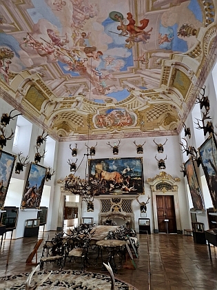 ... a záběry z expozice Muzea lesnictví, myslivosti a rybářství