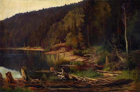 Obraz Julia Mařáka z roku 1892, uchovávaný ve sbírkách Národní galerie v Praze, zachycuje
opravdu Černé jezero na Šumavě, které bylo za námět obrazu jeho ženy vydáváno mylně