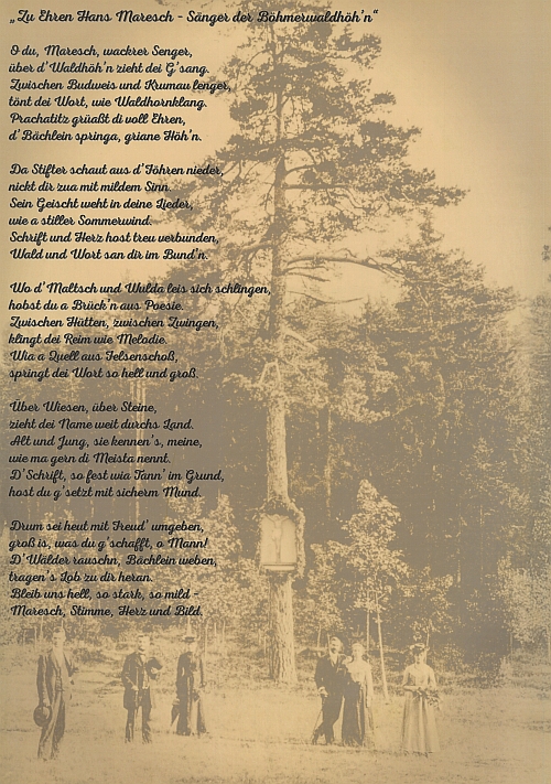 Báseň od umělé inteligence na pozadí Seidelovy fotografie Modrého obrázku