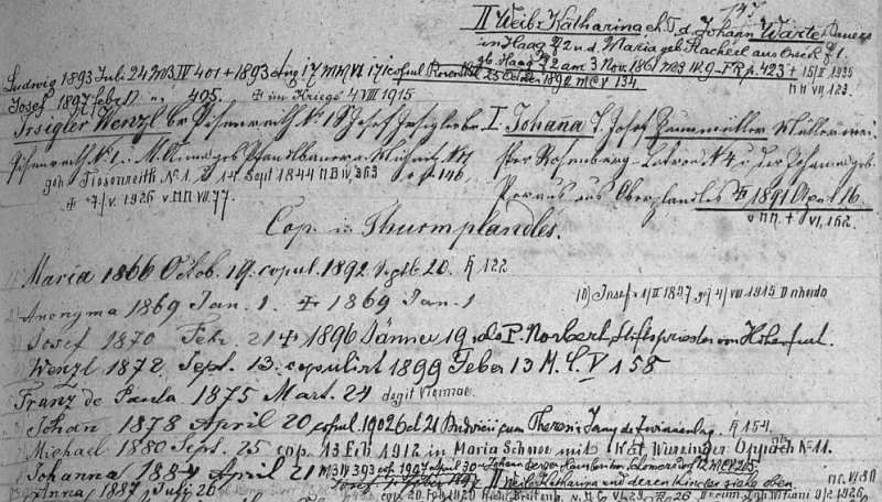 Záznam v indexu matriky farní obce Rožmitál na Šumavě o rodině, v níž přišel na svět jeho otec a jmenovec Michael Irsigler